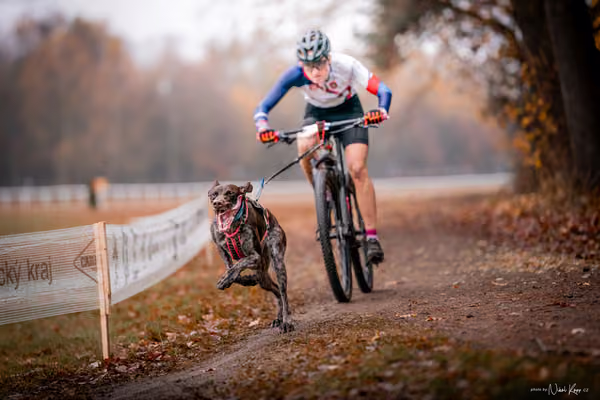 ICF WORLD CHAMPIONSHIP — SUNDAY – BIKE