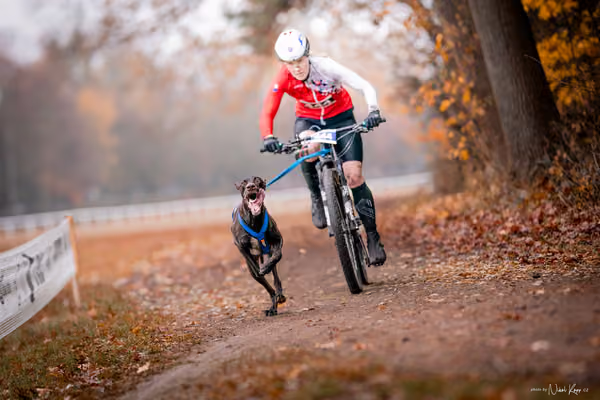 ICF WORLD CHAMPIONSHIP — SUNDAY – BIKE