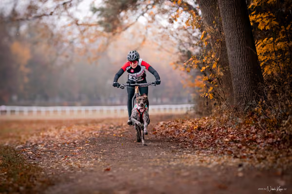 ICF WORLD CHAMPIONSHIP — SUNDAY – BIKE