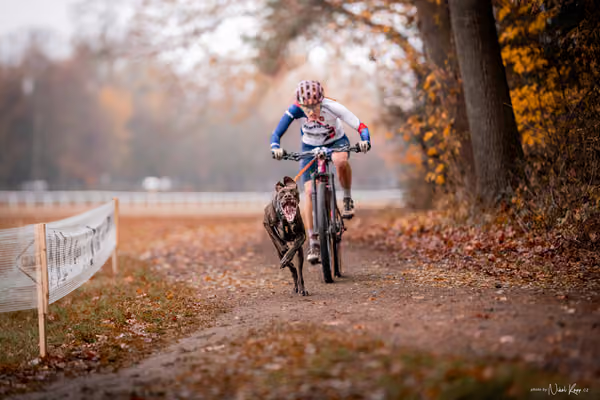 ICF WORLD CHAMPIONSHIP — SUNDAY – BIKE