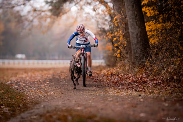ICF WORLD CHAMPIONSHIP — SUNDAY – BIKE