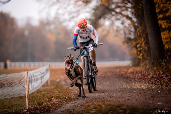 ICF WORLD CHAMPIONSHIP — SUNDAY – BIKE