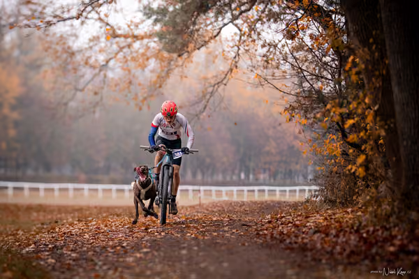 ICF WORLD CHAMPIONSHIP — SUNDAY – BIKE