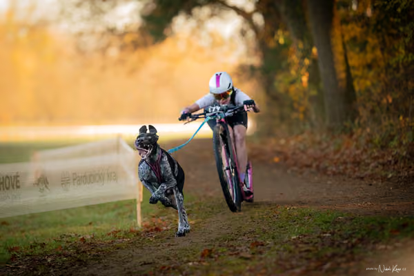 ICF WORLD CHAMPIONSHIP — SATURDAY – SCOOTER