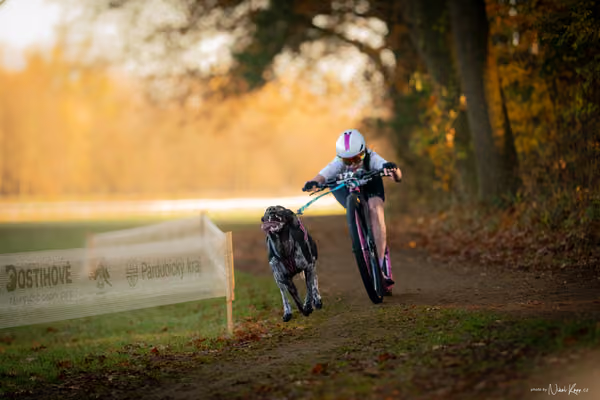 ICF WORLD CHAMPIONSHIP — SATURDAY – SCOOTER