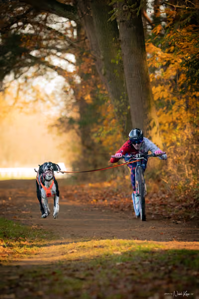ICF WORLD CHAMPIONSHIP — SATURDAY – SCOOTER