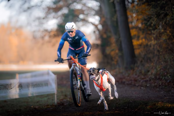 ICF WORLD CHAMPIONSHIP — SATURDAY – BIKE