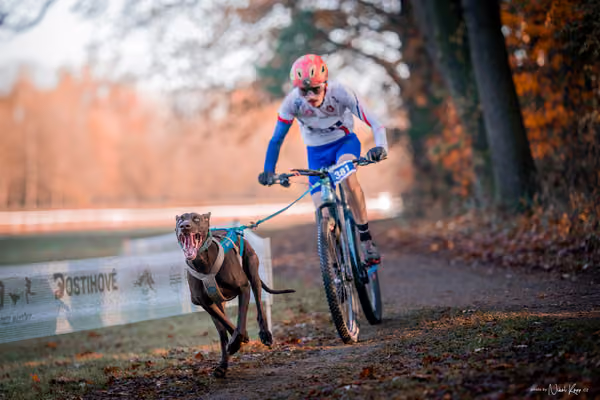ICF WORLD CHAMPIONSHIP — SATURDAY – BIKE