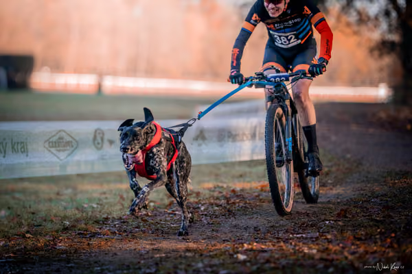 ICF WORLD CHAMPIONSHIP — SATURDAY – BIKE