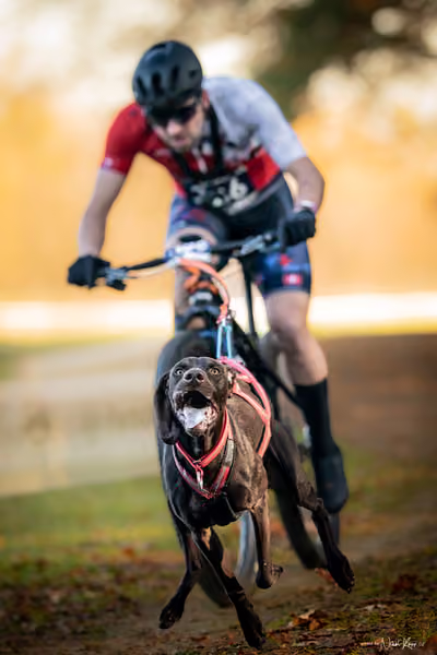 ICF WORLD CHAMPIONSHIP — SATURDAY – BIKE