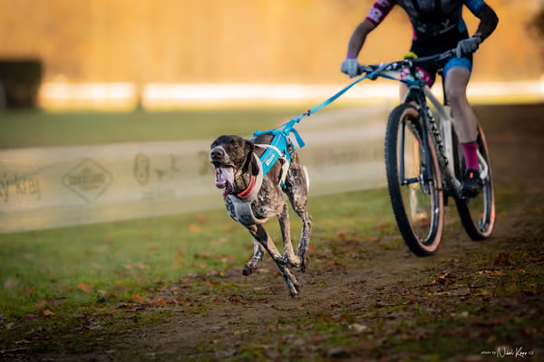 ICF WORLD CHAMPIONSHIP — SATURDAY – BIKE