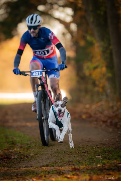 ICF WORLD CHAMPIONSHIP — SATURDAY – BIKE