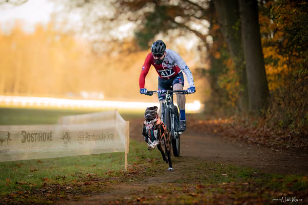 ICF WORLD CHAMPIONSHIP — SATURDAY – BIKE