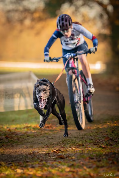 ICF WORLD CHAMPIONSHIP — SATURDAY – BIKE