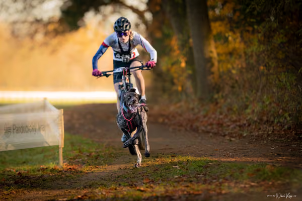 ICF WORLD CHAMPIONSHIP — SATURDAY – BIKE