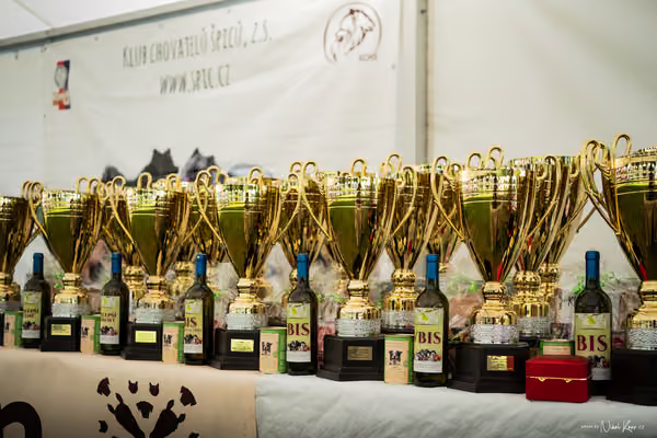 Klubová výstava KCHŠ — SOBOTA - KCHŠ – 30. května 2026