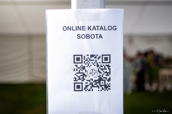 Klubová výstava KCHŠ — SOBOTA - KCHŠ – 30. května 2026