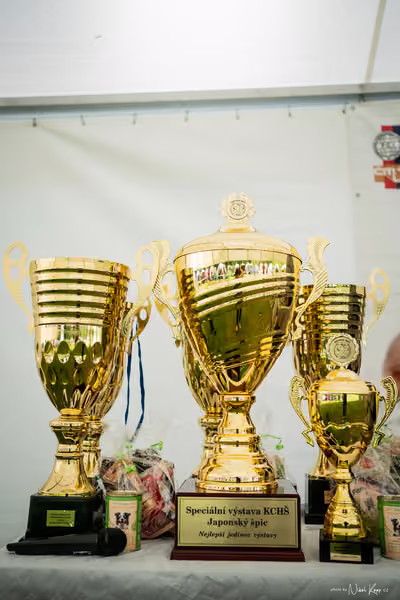 Klubová výstava KCHŠ — SOBOTA - KCHŠ – 30. května 2026