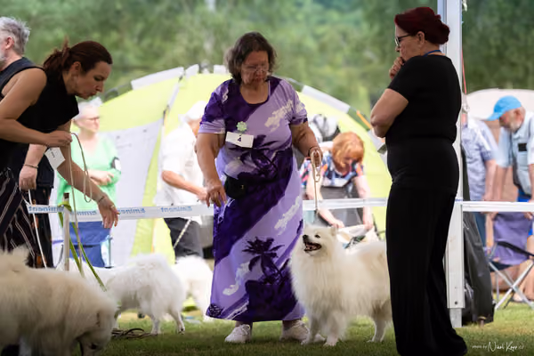 Klubová výstava KCHŠ — SOBOTA - KCHŠ – 30. května 2026