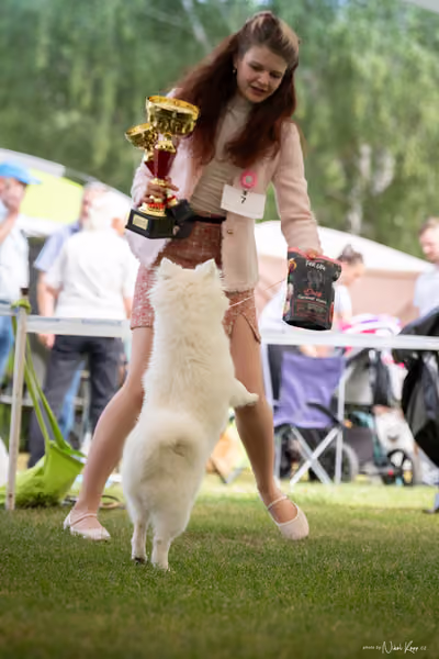 Klubová výstava KCHŠ — SOBOTA - KCHŠ – 30. května 2026