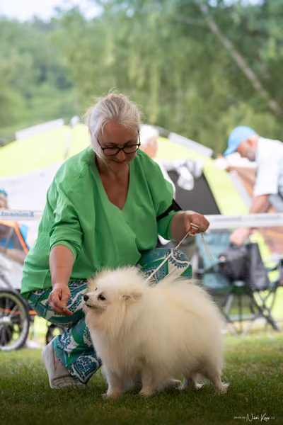 Klubová výstava KCHŠ — SOBOTA - KCHŠ – 30. května 2026
