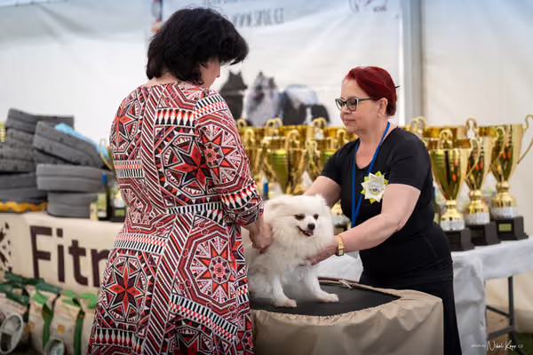 Klubová výstava KCHŠ — SOBOTA - KCHŠ – 30. května 2026