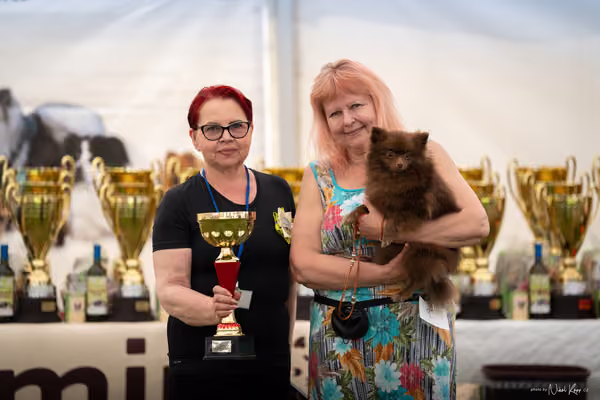 Klubová výstava KCHŠ — SOBOTA - KCHŠ – 30. května 2026