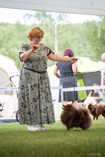 Klubová výstava KCHŠ — SOBOTA - KCHŠ – 30. května 2026