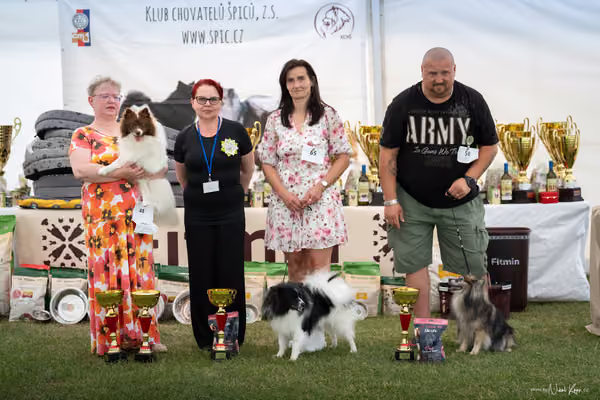 Klubová výstava KCHŠ — SOBOTA - KCHŠ – 30. května 2026