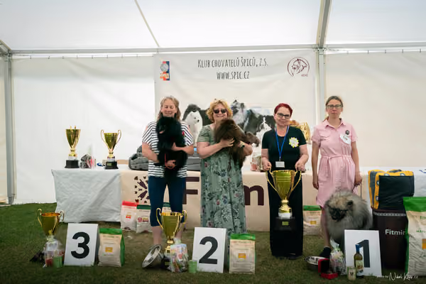 Klubová výstava KCHŠ — SOBOTA - KCHŠ – 30. května 2026