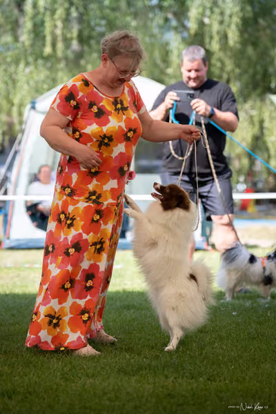 Klubová výstava KCHŠ — SOBOTA - KCHŠ – 30. května 2026