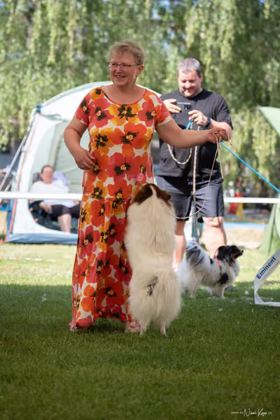 Klubová výstava KCHŠ — SOBOTA - KCHŠ – 30. května 2026