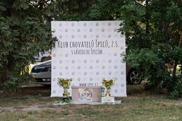 Klubová výstava KCHŠ — NEDĚLE - KCHŠ – 31. května 2026