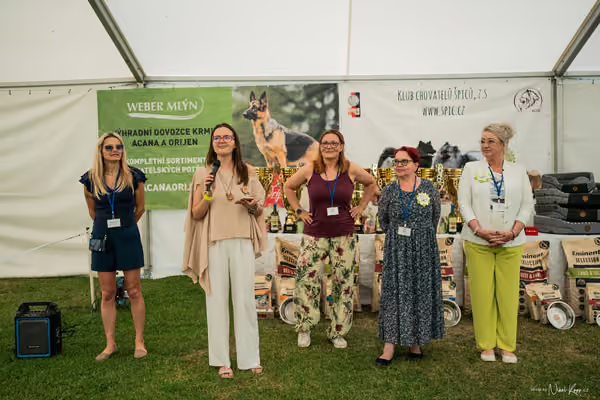 Klubová výstava KCHŠ — NEDĚLE - KCHŠ – 31. května 2026
