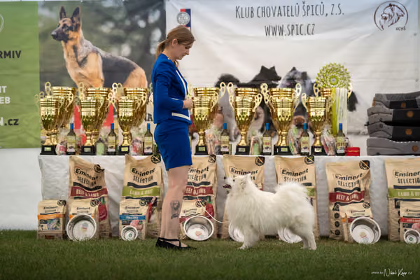 Klubová výstava KCHŠ — NEDĚLE - KCHŠ – 31. května 2026