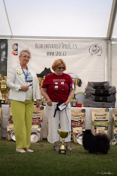 Klubová výstava KCHŠ — NEDĚLE - KCHŠ – 31. května 2026