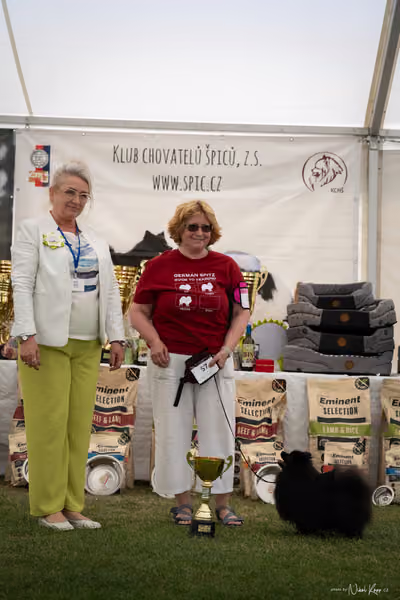 Klubová výstava KCHŠ — NEDĚLE - KCHŠ – 31. května 2026