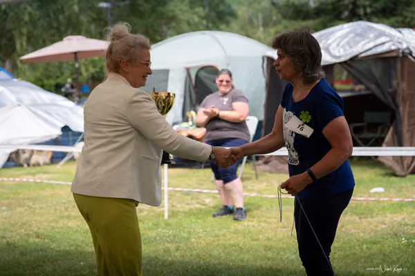 Klubová výstava KCHŠ — NEDĚLE - KCHŠ – 31. května 2026