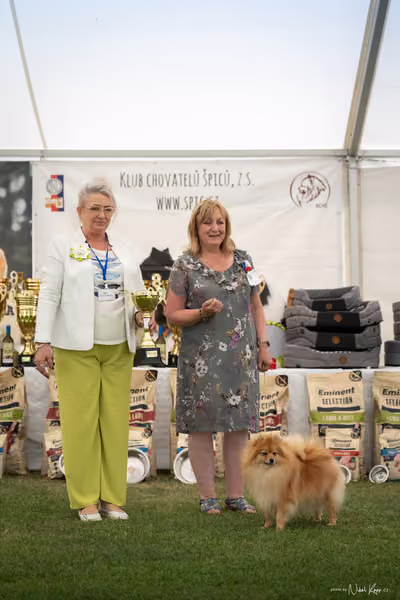 Klubová výstava KCHŠ — NEDĚLE - KCHŠ – 31. května 2026