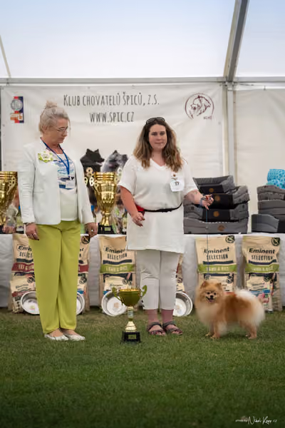 Klubová výstava KCHŠ — NEDĚLE - KCHŠ – 31. května 2026