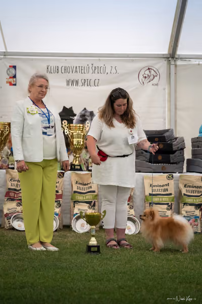 Klubová výstava KCHŠ — NEDĚLE - KCHŠ – 31. května 2026
