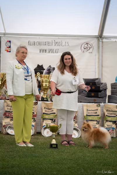 Klubová výstava KCHŠ — NEDĚLE - KCHŠ – 31. května 2026