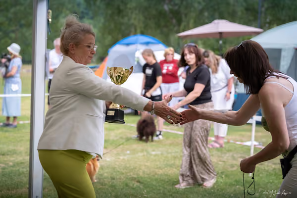 Klubová výstava KCHŠ — NEDĚLE - KCHŠ – 31. května 2026
