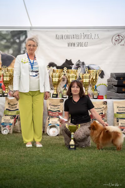 Klubová výstava KCHŠ — NEDĚLE - KCHŠ – 31. května 2026