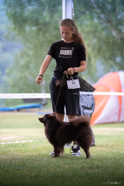 Klubová výstava KCHŠ — NEDĚLE - KCHŠ – 31. května 2026