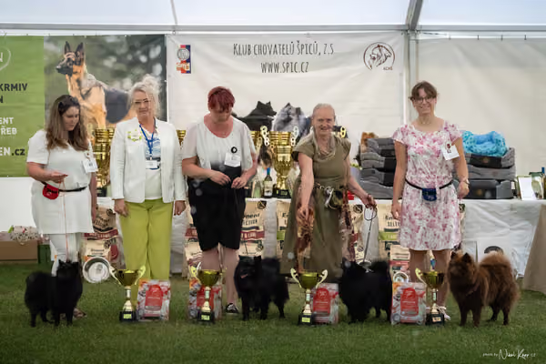 Klubová výstava KCHŠ — NEDĚLE - KCHŠ – 31. května 2026