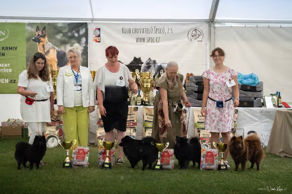 Klubová výstava KCHŠ — NEDĚLE - KCHŠ – 31. května 2026
