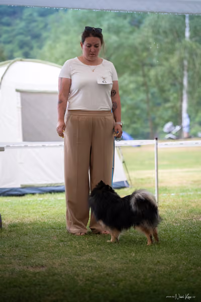 Klubová výstava KCHŠ — NEDĚLE - KCHŠ – 31. května 2026