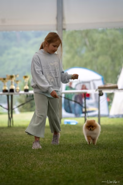 Klubová výstava KCHŠ — NEDĚLE - KCHŠ – 31. května 2026