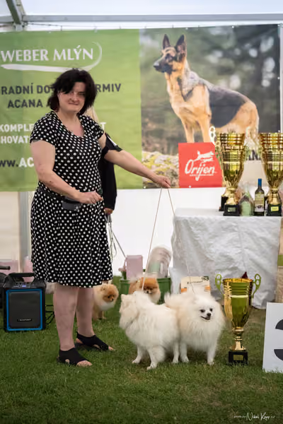 Klubová výstava KCHŠ — NEDĚLE - KCHŠ – 31. května 2026